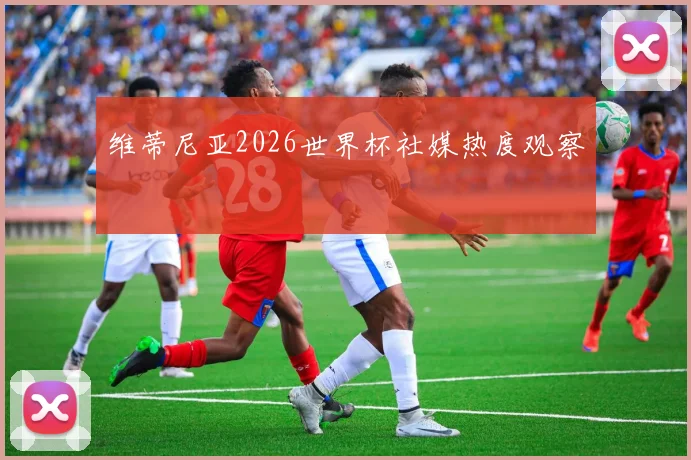 维蒂尼亚2026世界杯社媒热度观察