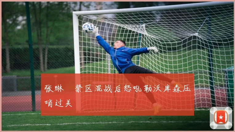张琳芃禁区混战后怒吼勒沃库森压哨过关