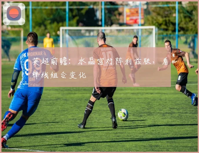 英超前瞻：水晶宫对阵利兹联，看锋线组合变化