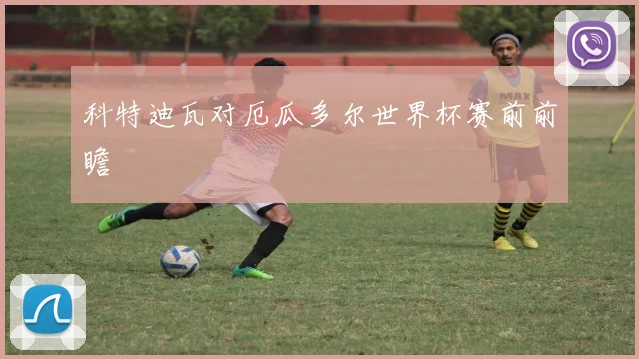 科特迪瓦对厄瓜多尔世界杯赛前前瞻