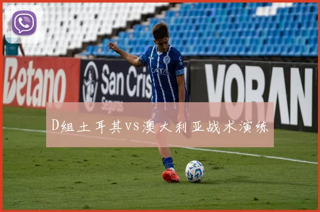 D组土耳其vs澳大利亚战术演练