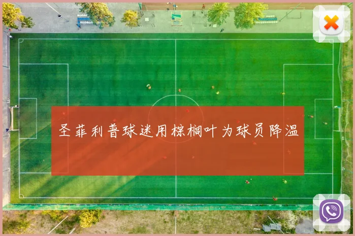 圣菲利普球迷用棕榈叶为球员降温