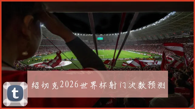 绍切克2026世界杯射门次数预测