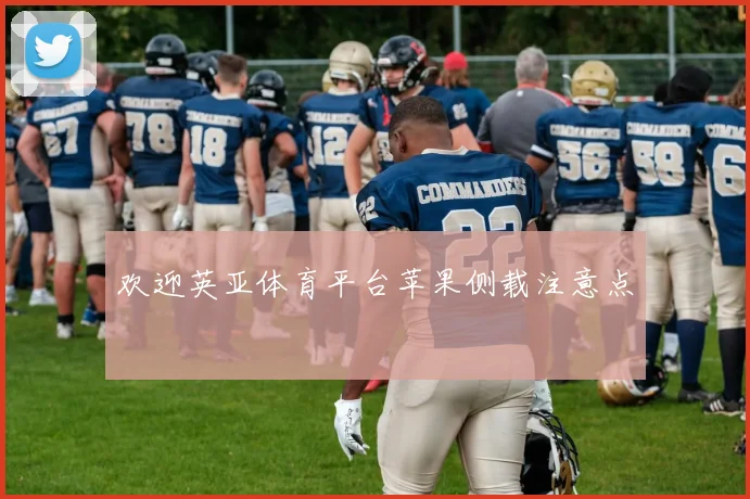 欢迎英亚体育平台苹果侧载注意点