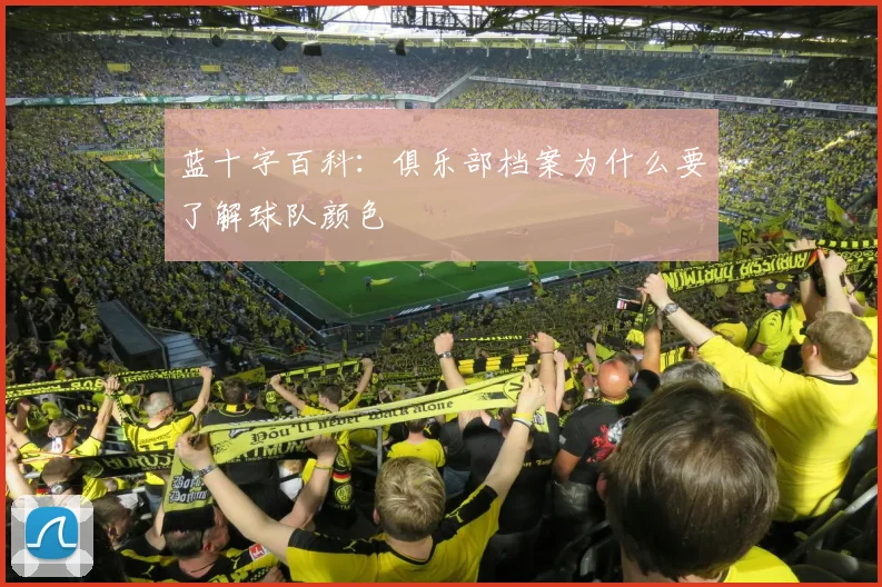 蓝十字百科：俱乐部档案为什么要了解球队颜色